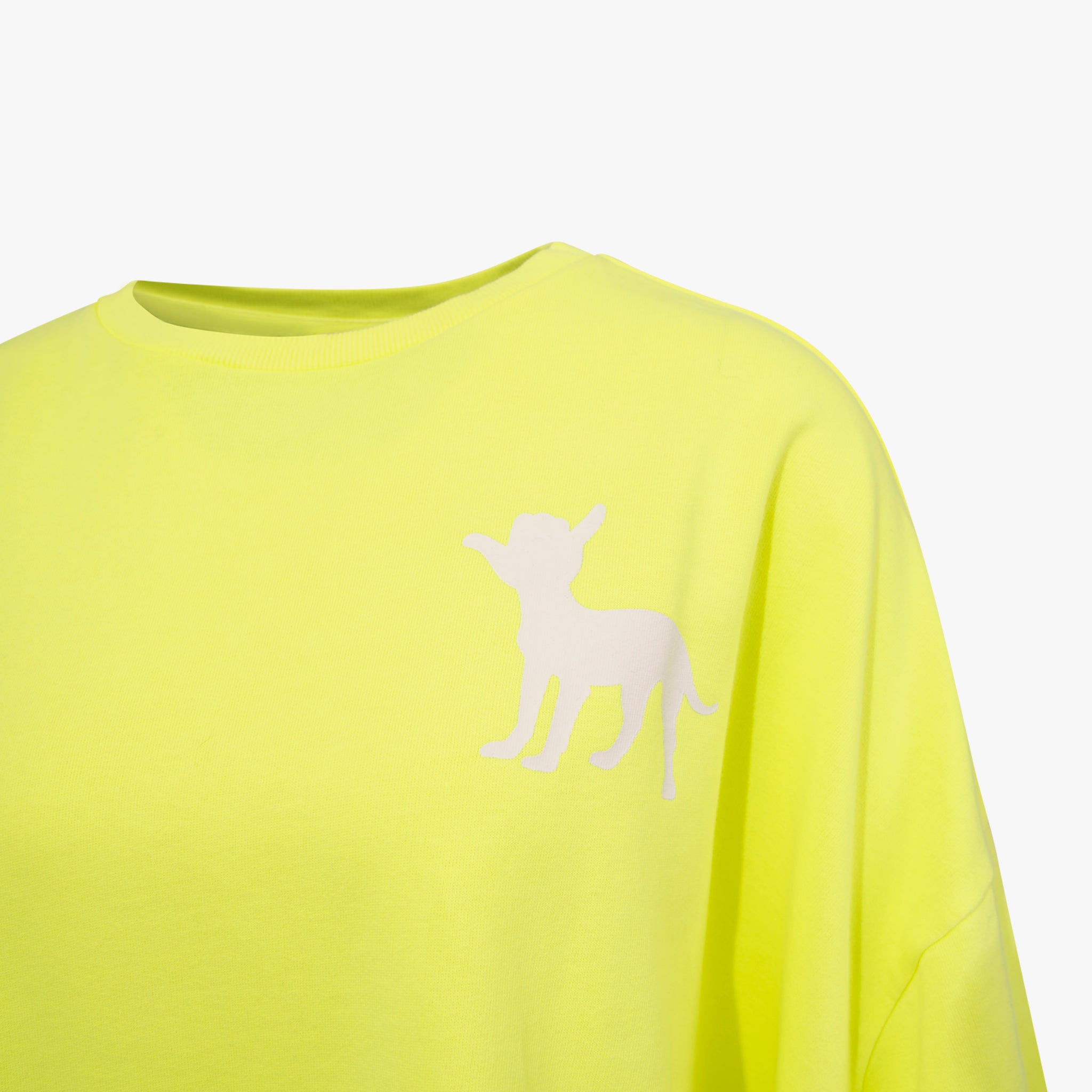 Sweater Neon | neongelb