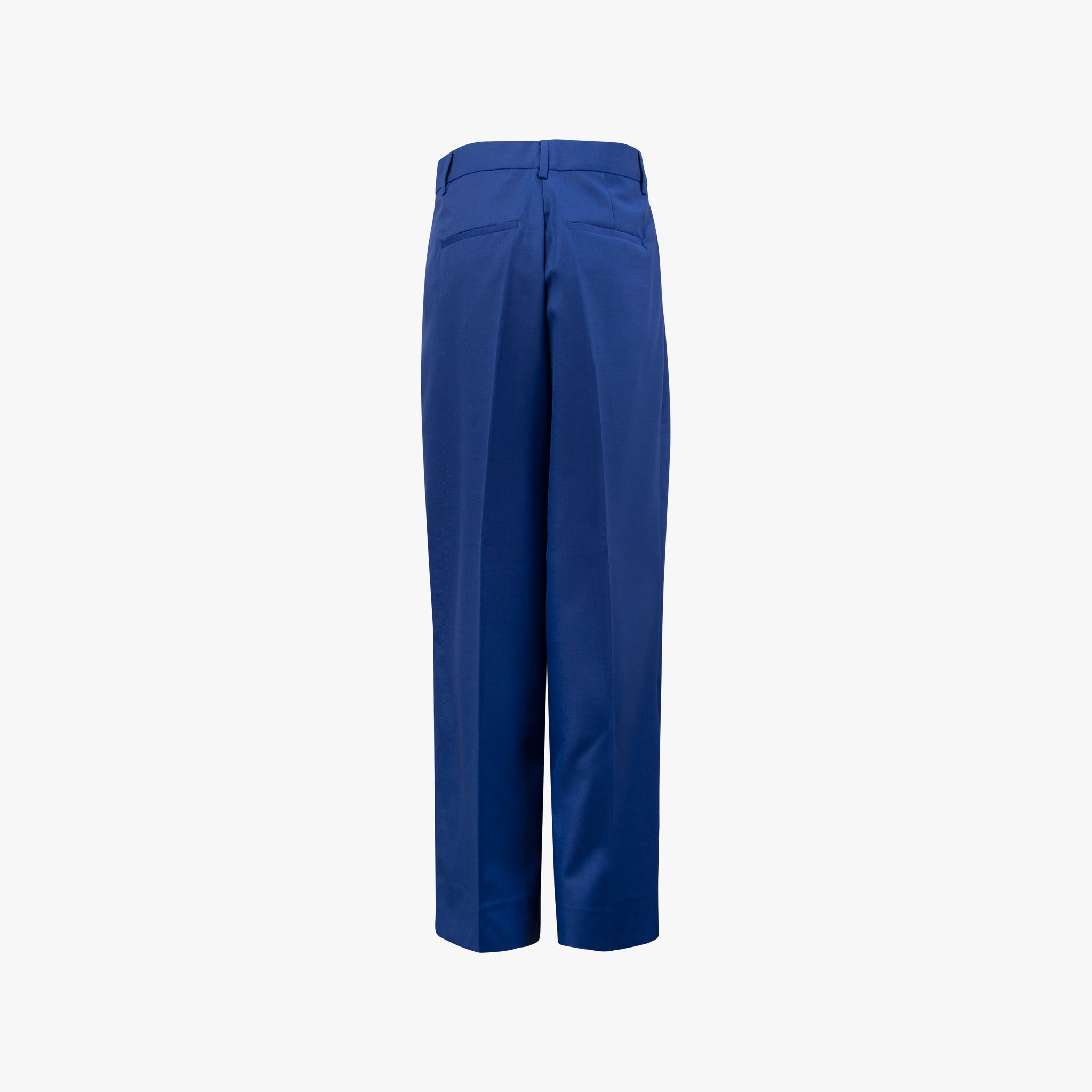 Hose Bundfalte | blau