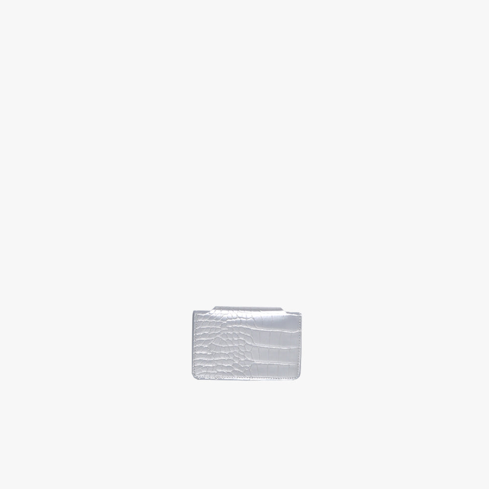 Alix & Baxter Cardholder Carry | silber
