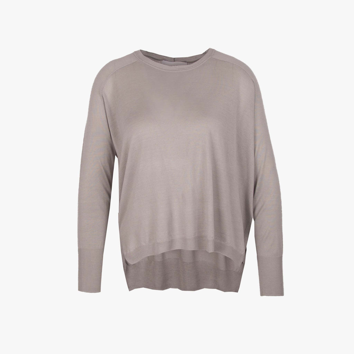 Skills and Genes Pulli transparent | grau