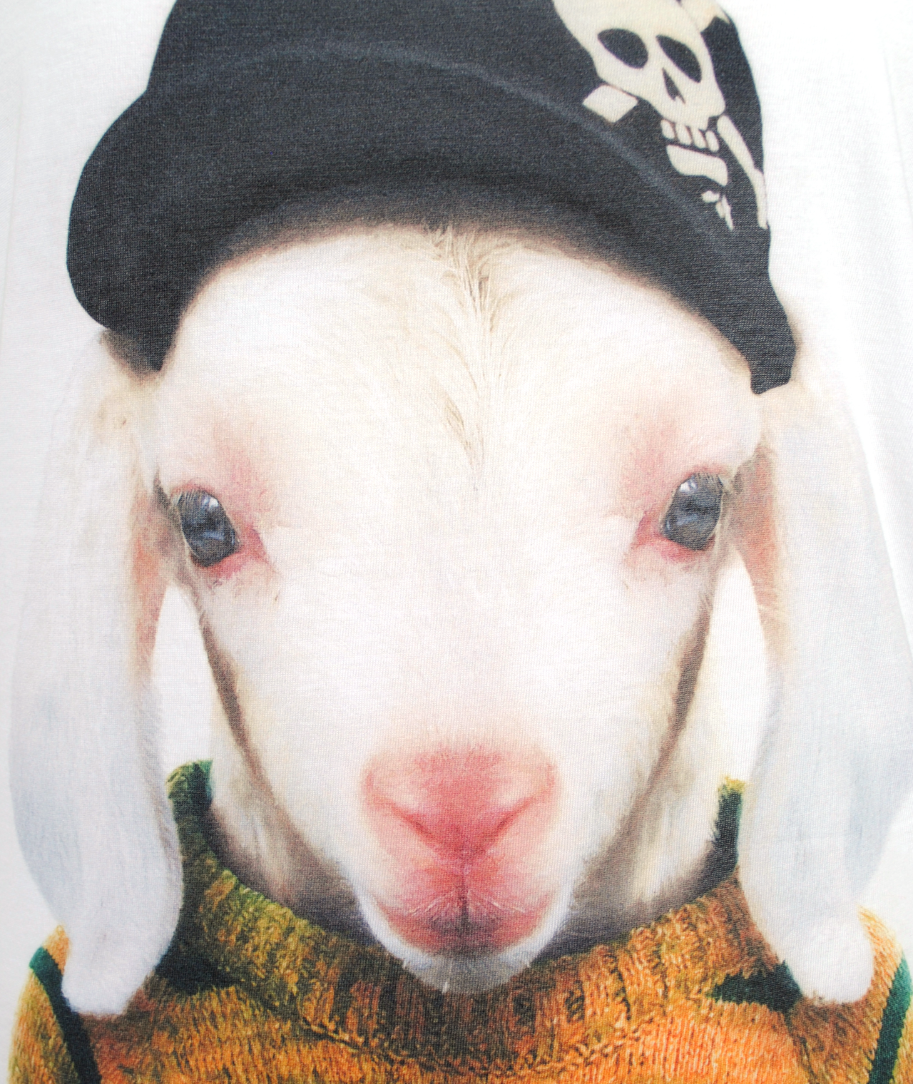 Shirt Little Lamb | weiß