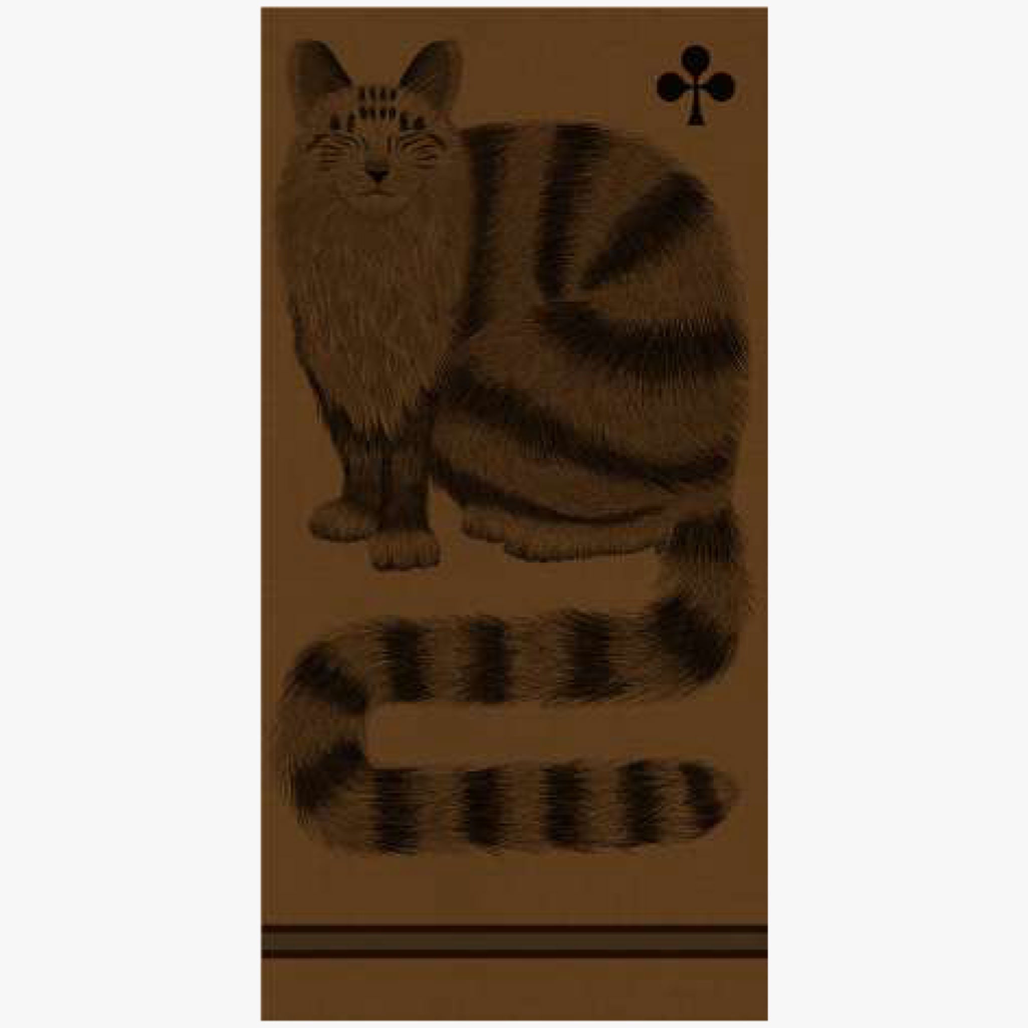 Inouitoosh Wollschal Cat | braun