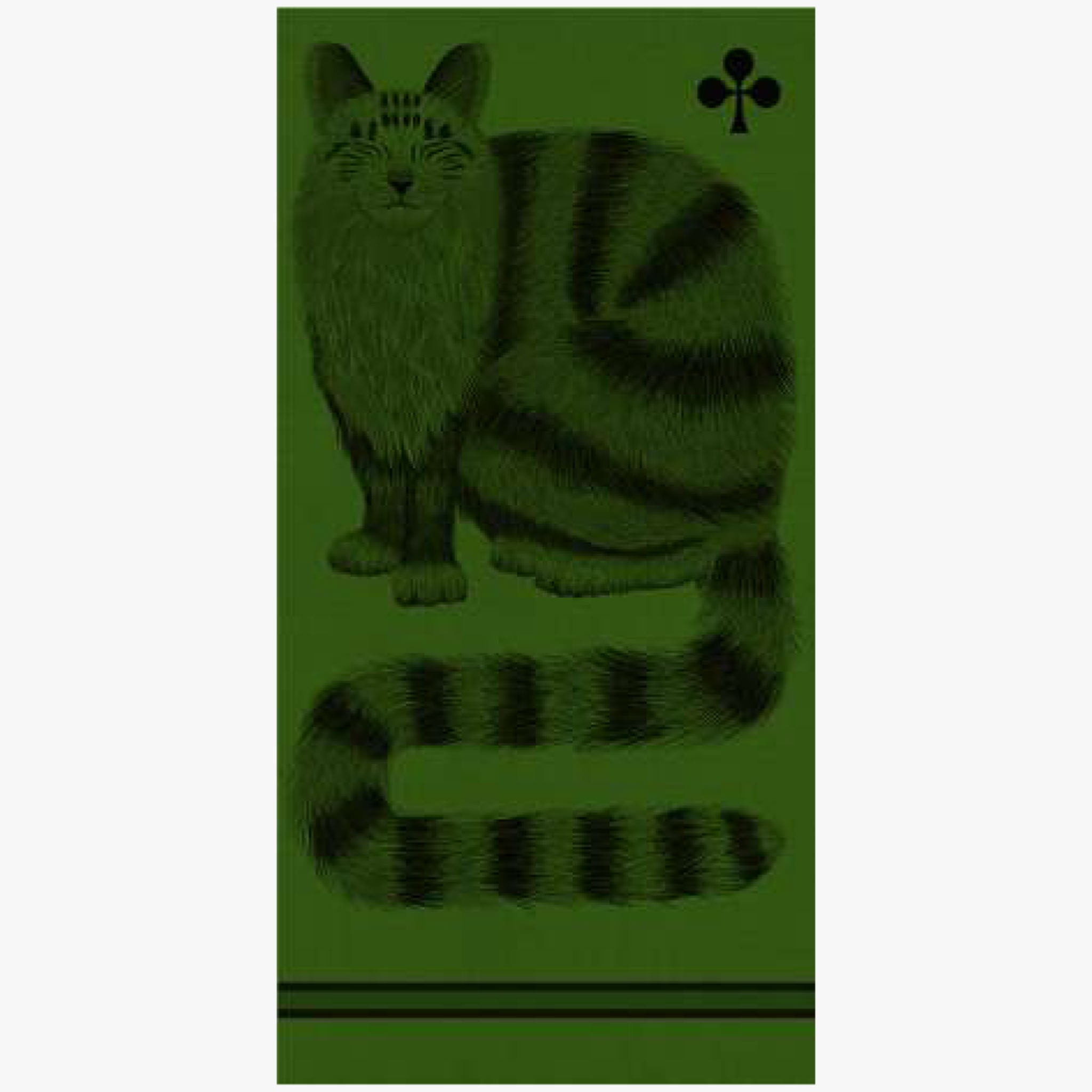 Inouitoosh Wollschal Cat | grün