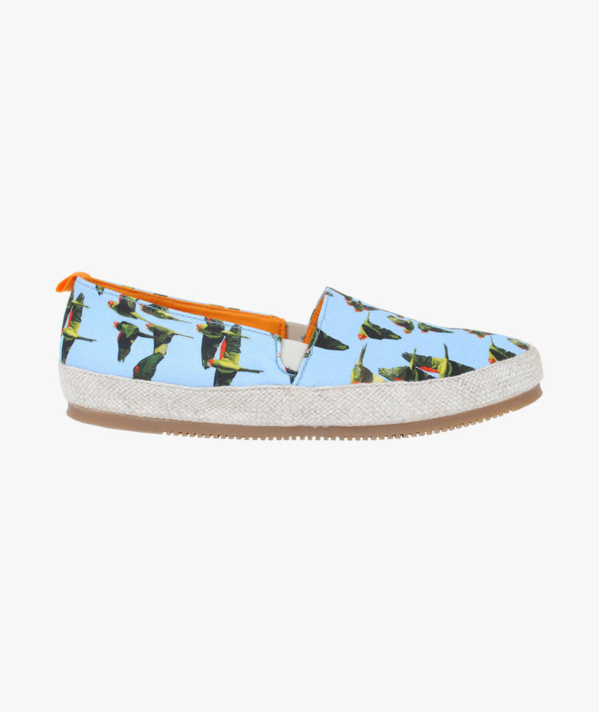 Espandrille Parrots | multicolor