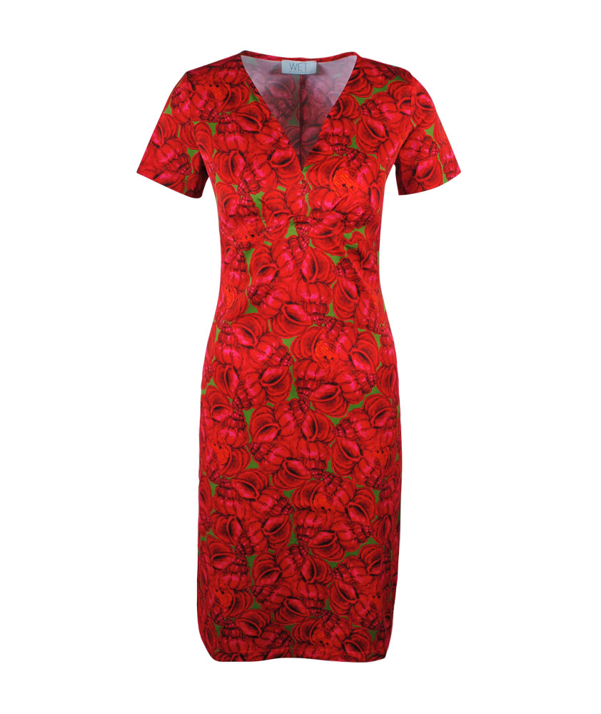 V-Kleid Megan Print | red