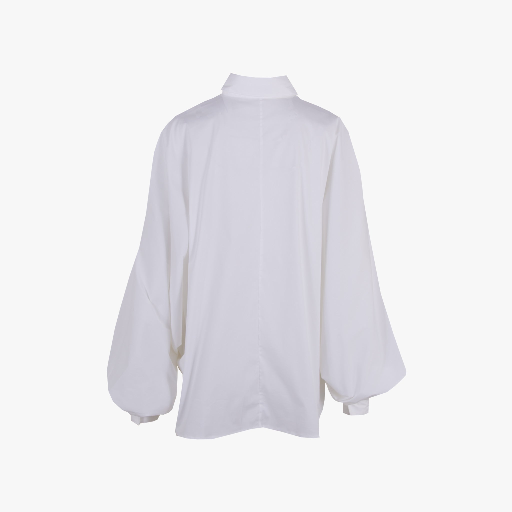 The White Shirt Bluse Fashion | weiß